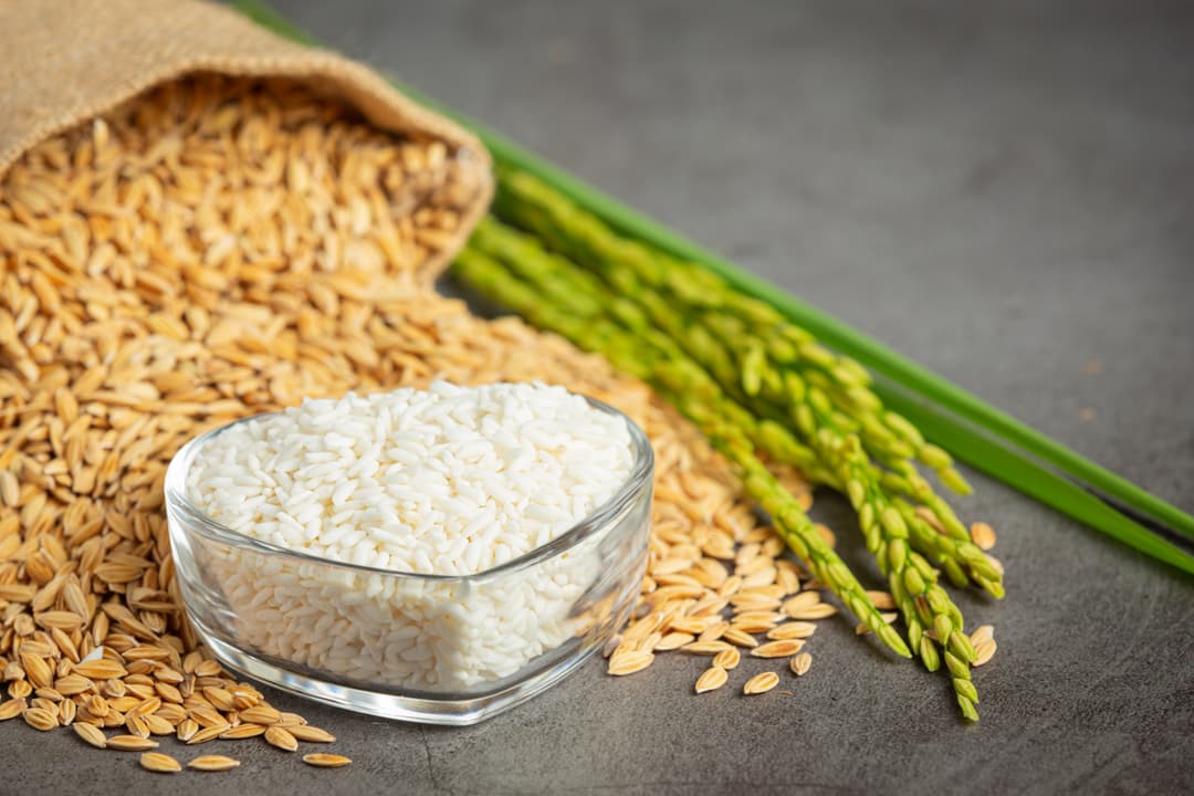 Rice